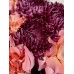Букет №226 из французских коралловых роз и сортовой хризантемы Bigoudi Purple