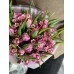 Букет №239 из крупных пионовидных тюльпанов Double Price и ароматного хамелациума в подарочной упаковке 8 Марта