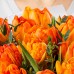 Букет №35 -Тюльпан пионовидный Orange Princess (Icoon), эвкалипт Parvifolia, фисташка