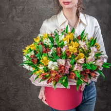 Букет №65 Композиция из 25шт. альстромерий в шляпной коробке