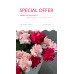 SPECIAL OFFER на букеты до 31 мая 2025
