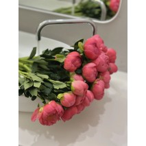 Новые букеты с пионами от MANIA Fiori
