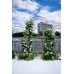 Декор свадебного мероприятия "Особняк Путинцева" от Mania Fiori Decor